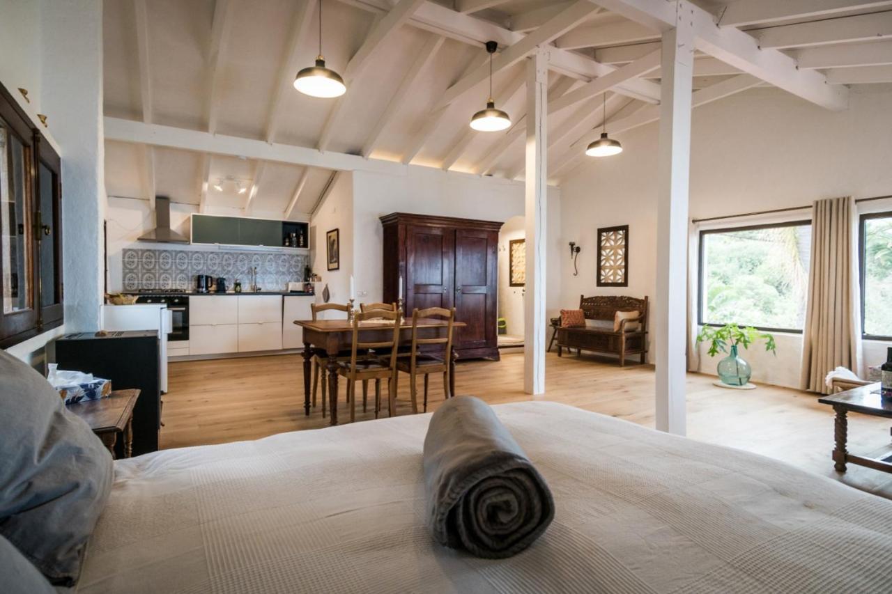 Ferienwohnung Finca Monica La Matanza De Acentejo 외부 사진