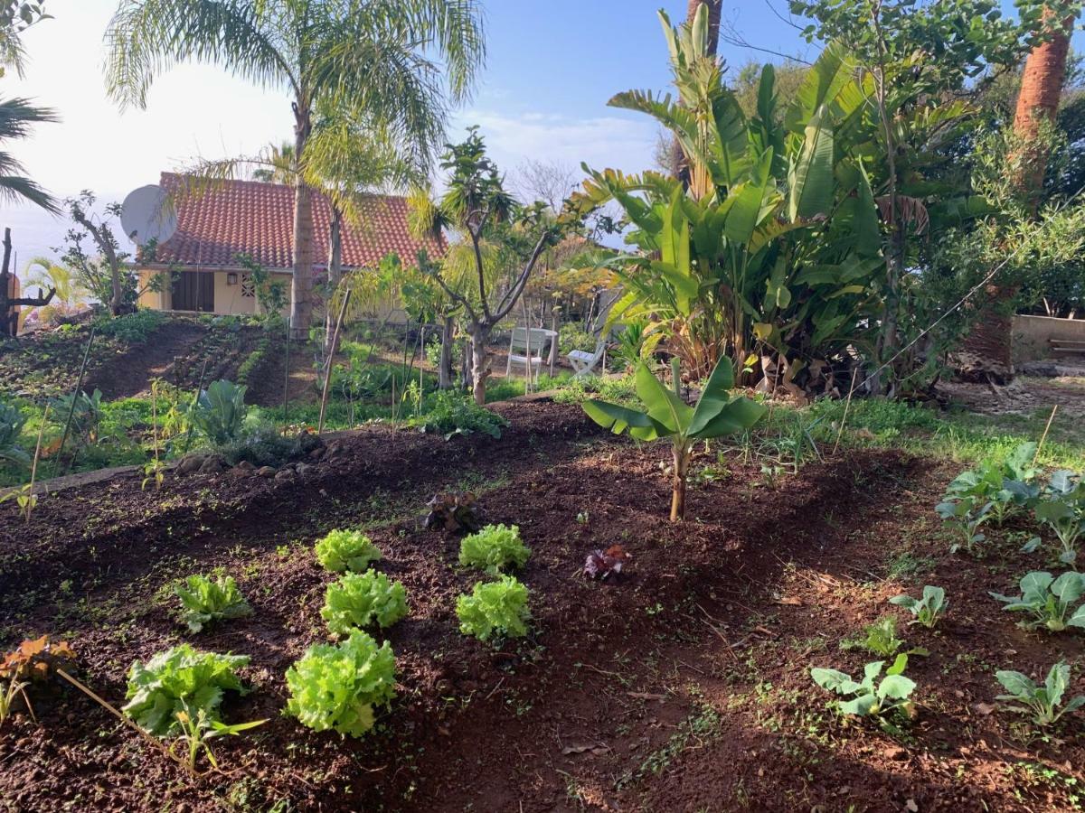 Ferienwohnung Finca Monica La Matanza De Acentejo 외부 사진